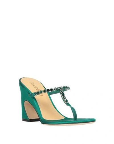 Giannico Toe Strap Sandals In Green