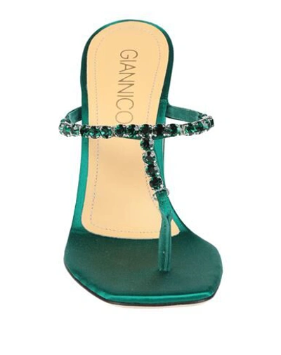 Giannico Toe Strap Sandals In Green