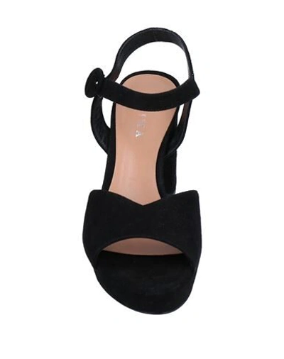 Shop Anima Sandals In Black