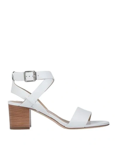 Shop Arturo T. Sandals In White
