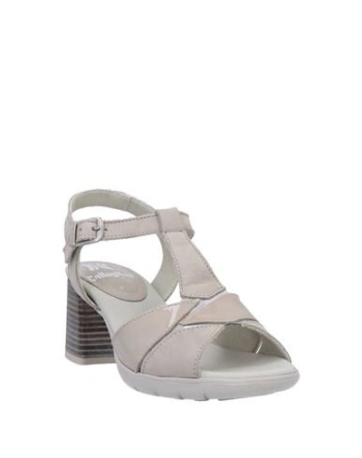 Shop Callaghan Sandals In Light Grey