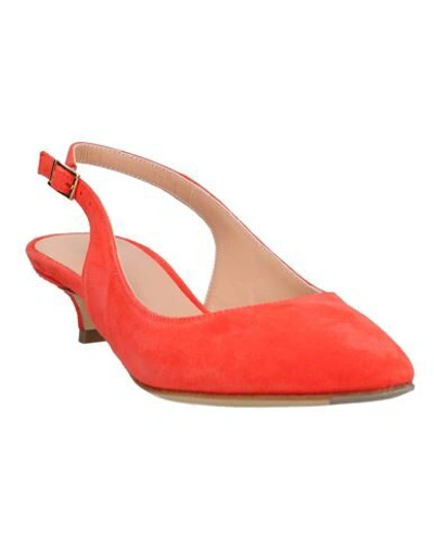 Shop Fauzian Jeunesse Pumps In Coral