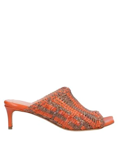 Shop Fauzian Jeunesse Sandals In Orange