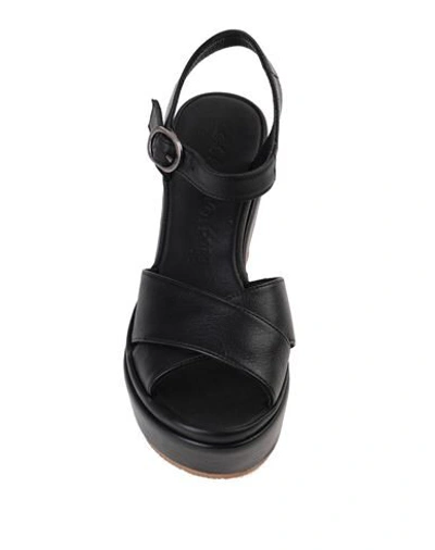 Shop Cafènoir Sandals In Black