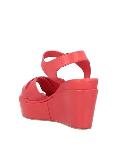 Shop Cafènoir Woman Sandals Red Size 8 Soft Leather