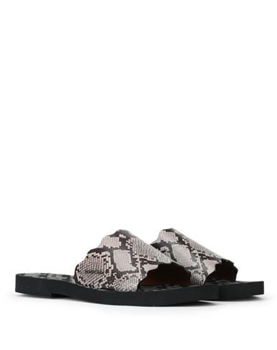 See By Chloé Sandals In Black