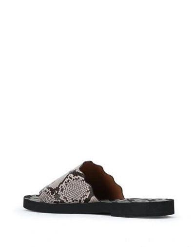 See By Chloé Sandals In Black