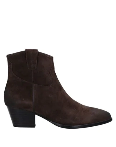 Shop Ash Woman Ankle Boots Cocoa Size 7 Leather In Brown