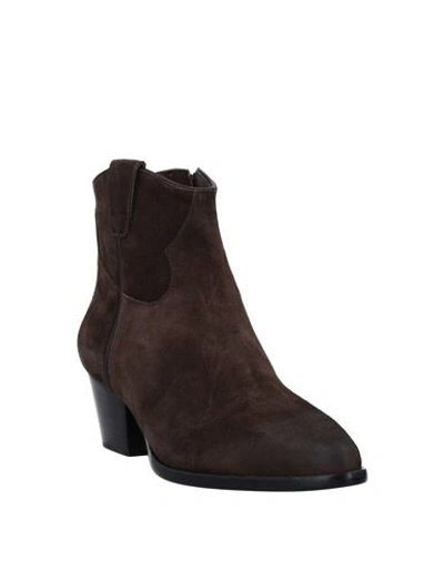 Ash Ankle Boots In Brown