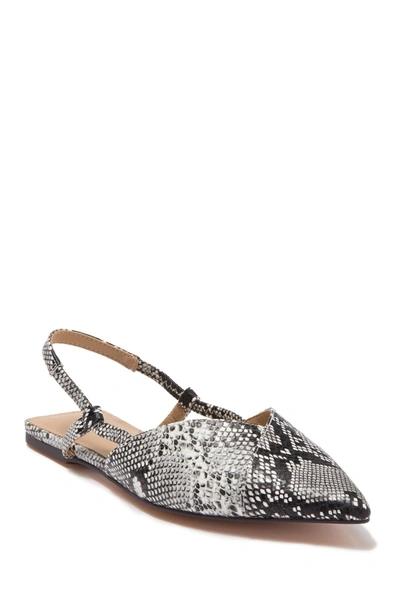 Shop 14th & Union Romi Pointed Toe Slingback Flat In Black White Snake Pu