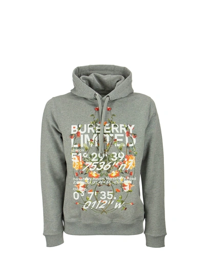 Shop Burberry Lyleford - Montage Print Cotton Hoodie In Pale Grey Melange