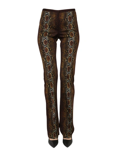 Shop Versace Pants With Python Print In Multicolor