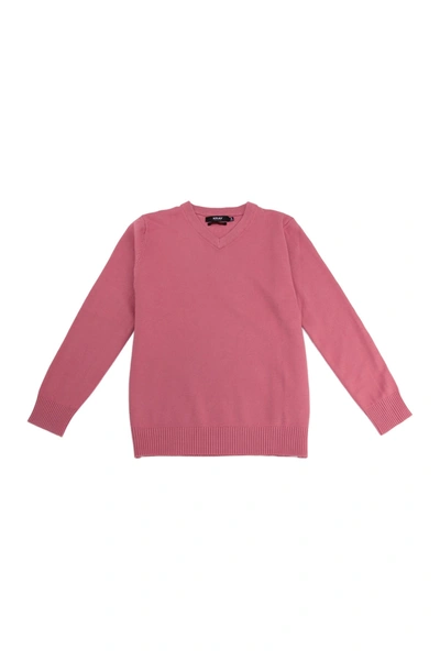 X-ray Basic V-neck Sweater In Dusty Mauve