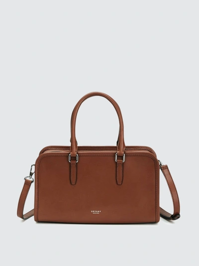 Shop Future Brands Group Oryany Katy Tote In Brown