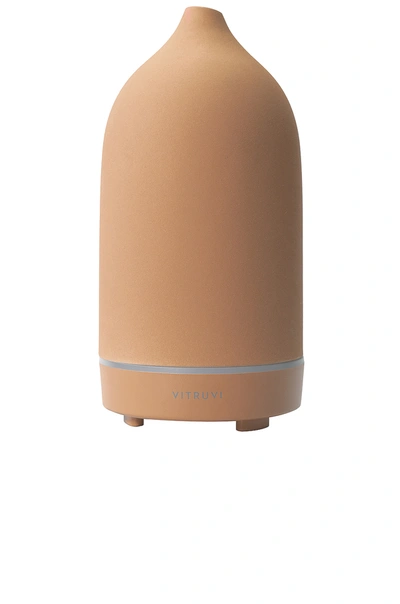 Shop Vitruvi Terracotta Stone Diffuser In N,a