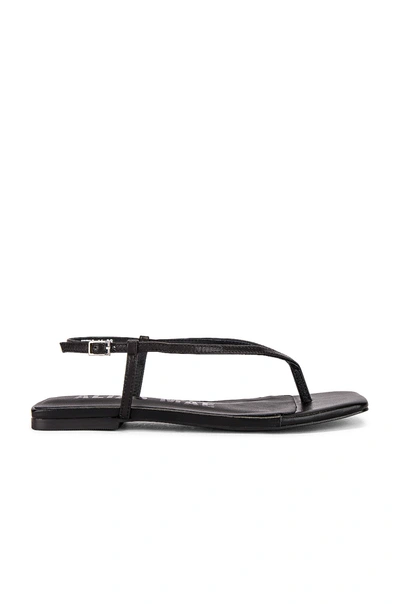 Shop Alias Mae Andie Sandal In Black Leather