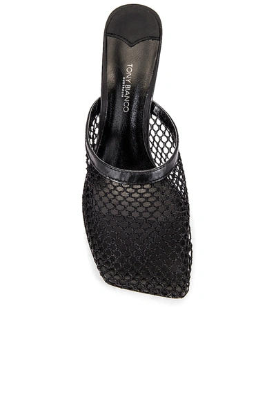 Shop Tony Bianco Bis Mule In Black Web