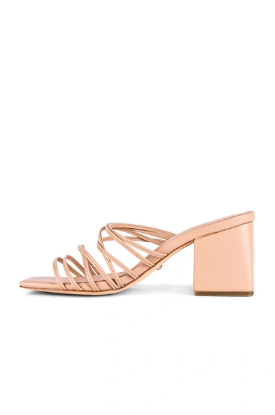 Shop Raye Helix Sandal In Nude