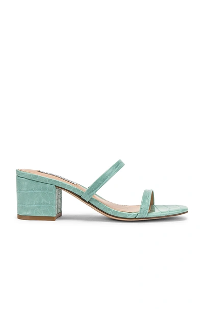 Shop Steve Madden Issy Mule In Mint