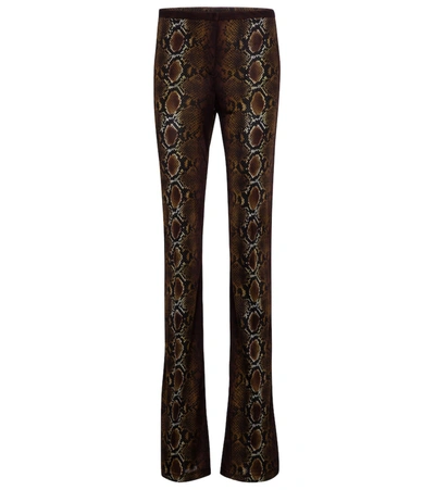Shop Versace Python-print Jersey Flared Pants In Brown