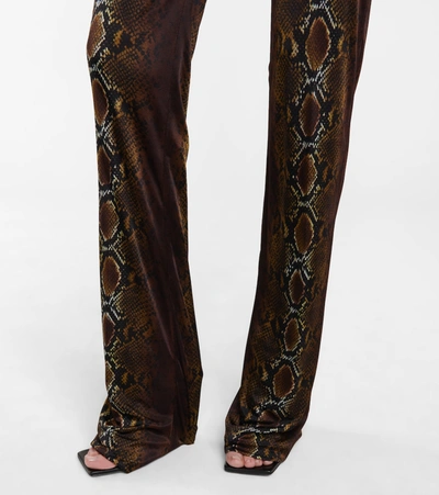 Shop Versace Python-print Jersey Flared Pants In Brown