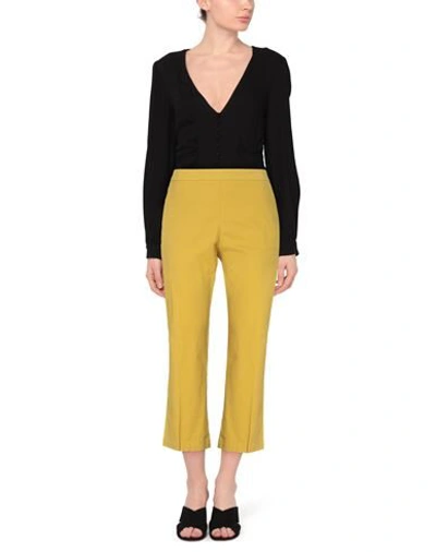 Maliparmi Pants In Ocher