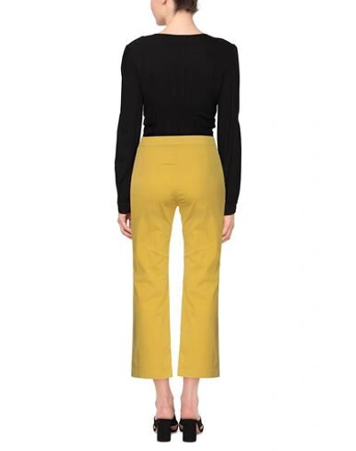 Maliparmi Pants In Ocher