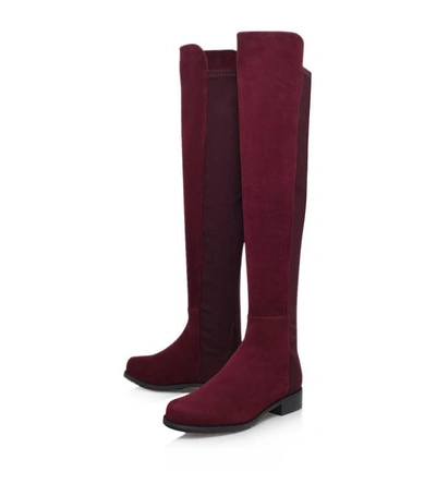 Shop Stuart Weitzman 5050 Suede Over-the-knee Boot In Wine