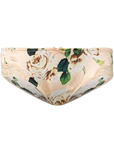 Dolce & Gabbana Floral-print Side-lace Briefs In Brown