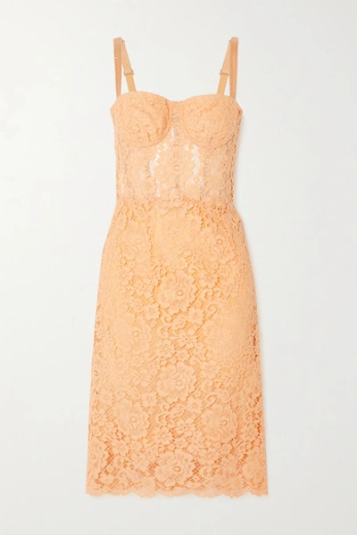 Shop Dolce & Gabbana Cotton-blend Corded Lace Midi Dress In Coral