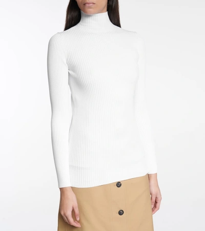 Ribbed-knit turtleneck sweater