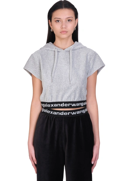 Shop Alexander Wang Sweatshirt In Grey Cotton