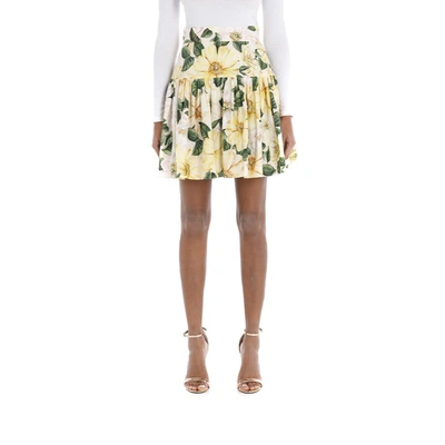 Shop Dolce & Gabbana Short Circle Skirt In Camellia-print Poplin In Ah Camelie Giallo F Rosa