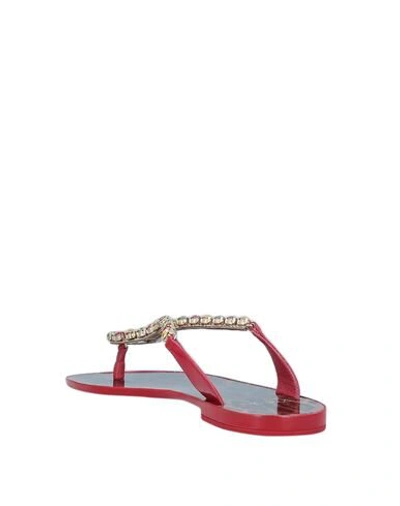 Shop Dolce & Gabbana Toe Strap Sandals In Red