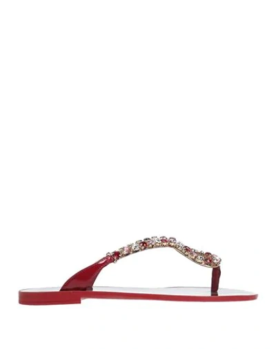 Shop Dolce & Gabbana Woman Thong Sandal Brick Red Size 7 Calfskin