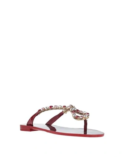 Shop Dolce & Gabbana Woman Thong Sandal Brick Red Size 6.5 Calfskin