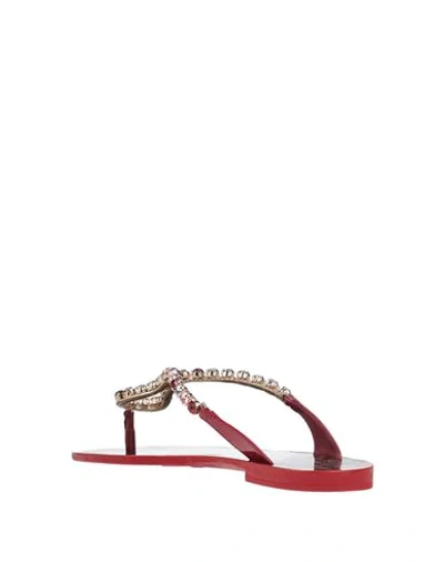 Shop Dolce & Gabbana Woman Thong Sandal Brick Red Size 6.5 Calfskin