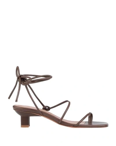 Shop Loq Toe Strap Sandals In Brown