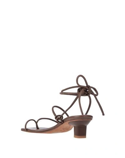 Shop Loq Toe Strap Sandals In Brown