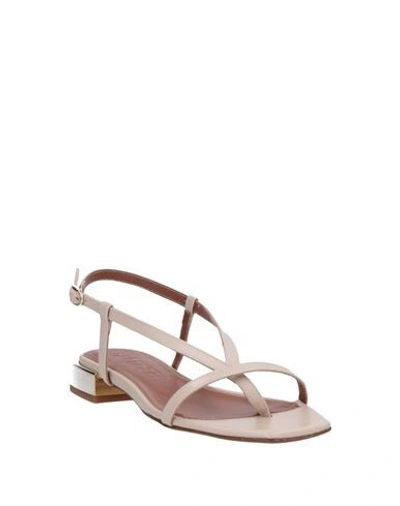 Shop Martinez Toe Strap Sandals In Beige