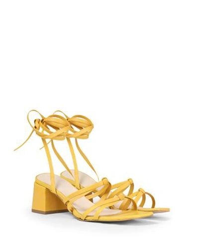 Shop 8 By Yoox Leather Square Toe Lace-up Sandal Woman Sandals Ocher Size 8 Ovine Leather In Yellow