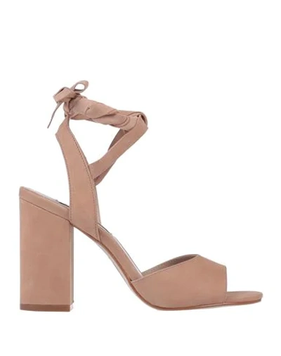 Shop Steve Madden Woman Sandals Camel Size 6 Soft Leather In Beige