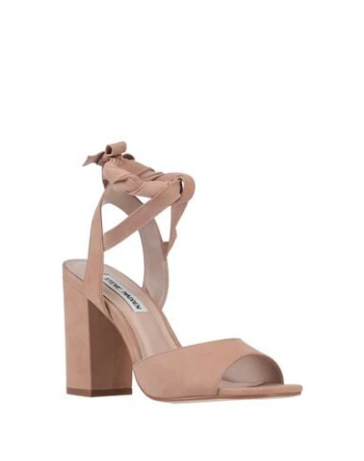 Shop Steve Madden Woman Sandals Camel Size 6 Soft Leather In Beige