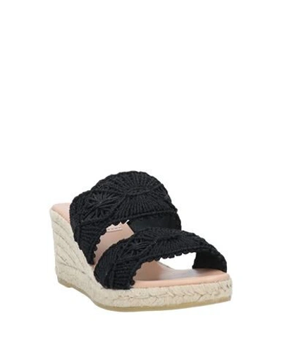 Gaimo Sandals In Black