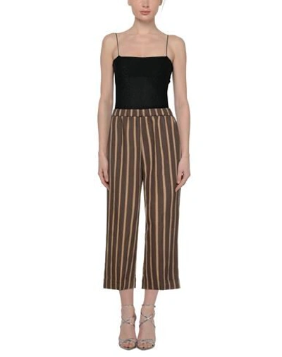 Kiltie Pants In Brown