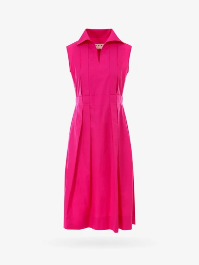 Shop Marni Dress In Pink