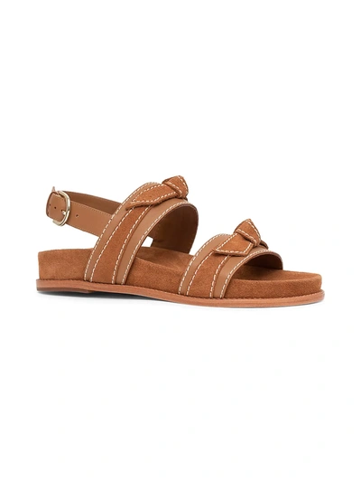 Shop Alexandre Birman Women's Clarita Bow Suede Sport Sandals In Light Brown