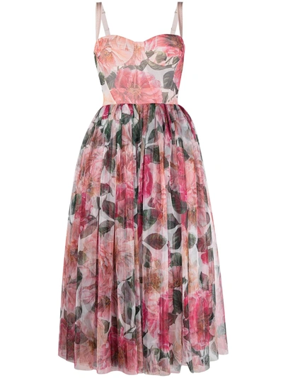 Shop Dolce & Gabbana Floral-print Bustier Dress In Pink