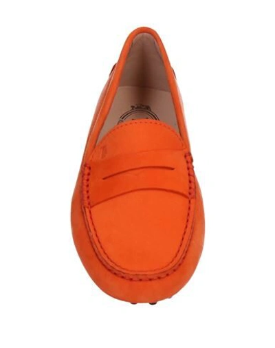 Tod's Suede Calf Moccasin Loafers Penny Studded In Rust