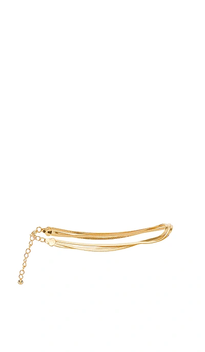 Shop 8 Other Reasons Lila Anklet In Gold